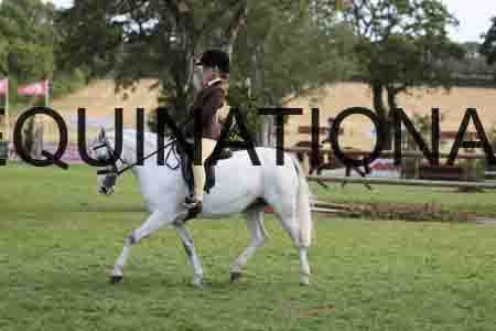 ALY-4123