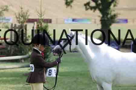 ALY-4190