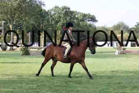 ALY-4253