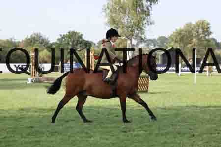 ALY-4254