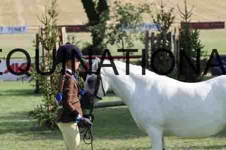 ALY-4270