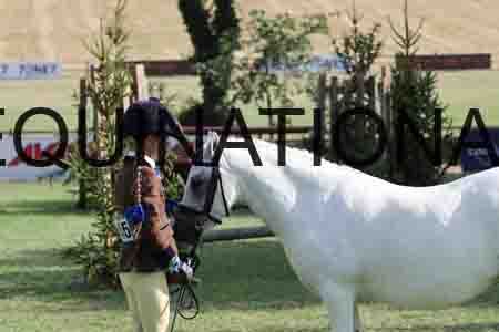 ALY-4271