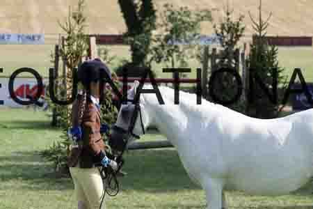 ALY-4272
