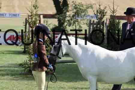 ALY-4273