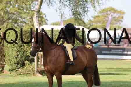 ALY-4279