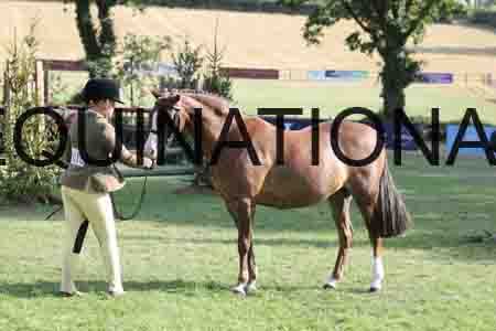 ALY-4290