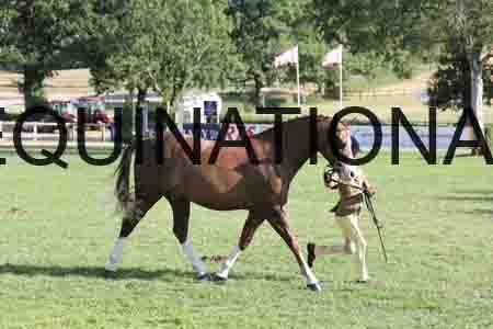 ALY-4349
