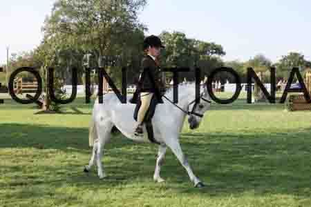 ALY-4373