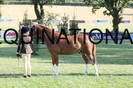 ALY-4378
