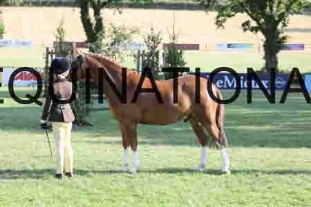 ALY-4379