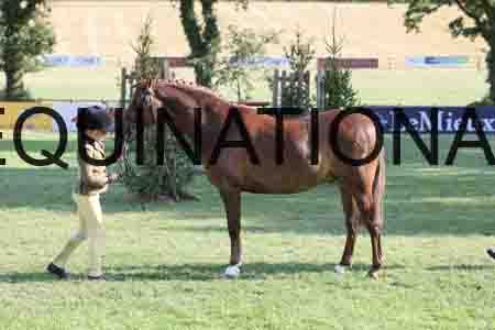 ALY-4389