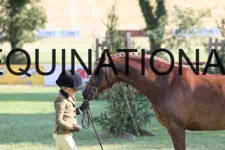 ALY-4391