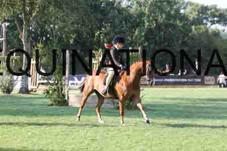 ALY-4395