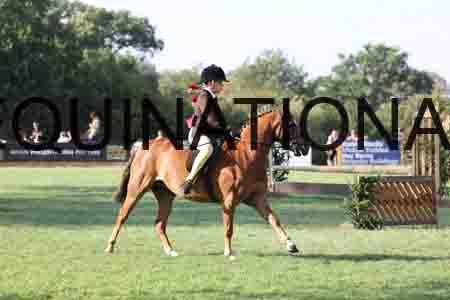 ALY-4396