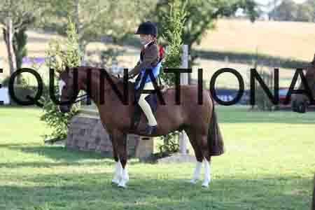 ALY-4678
