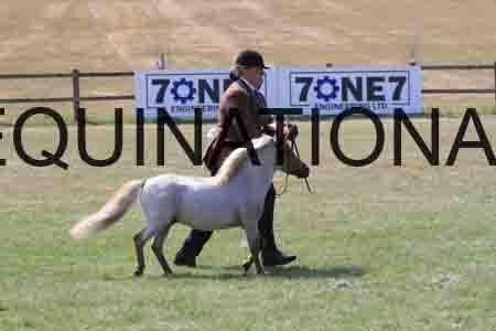 QIZ-2101 QIZ-2101