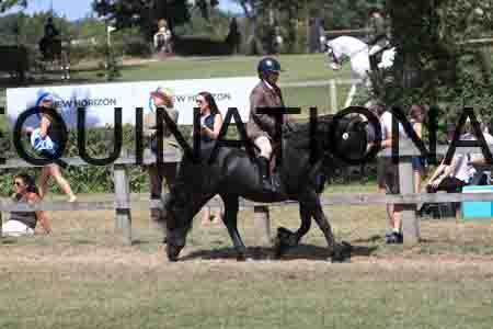 QIZ-2110