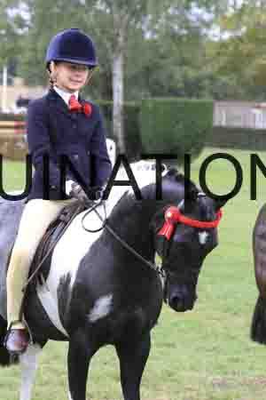 BAT-1519