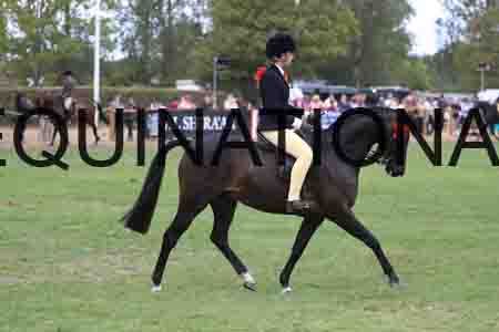 BAT-2014