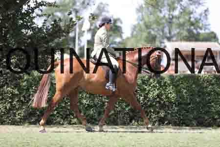 BAT-2349