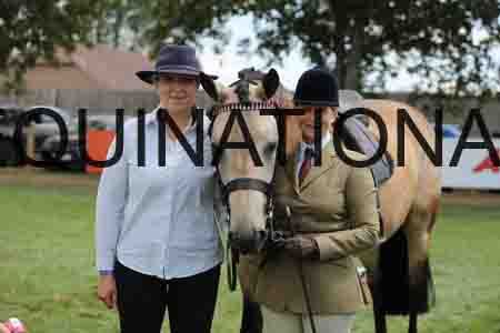 BAT-2491