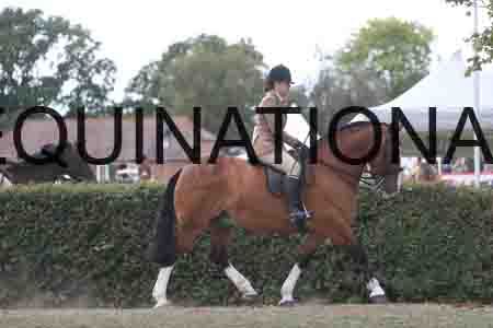 BAT-3096