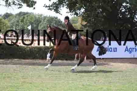 BAT-3304