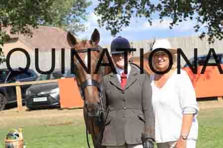 BAT-3357