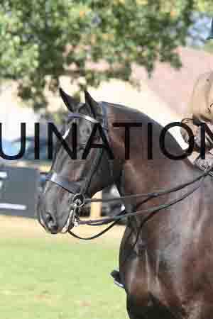 BAT-3403