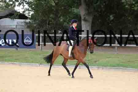 XOC-1006
