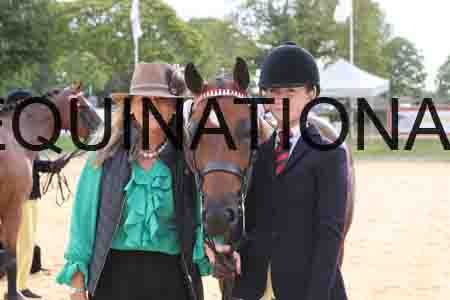 XOC-1181