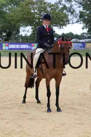 XOC-1344