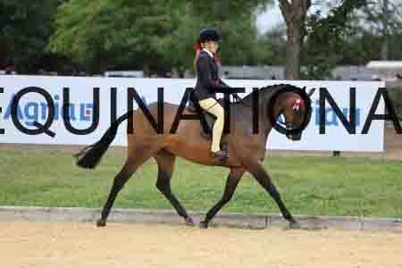 XOC-1524