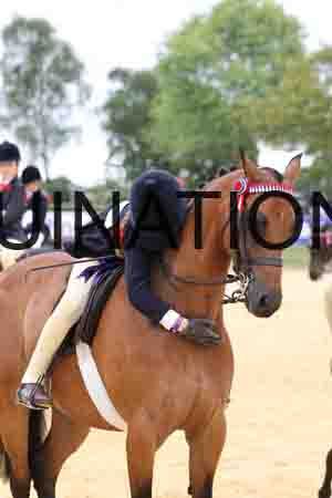 XOC-2015
