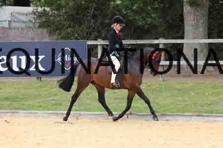 XOC-2033