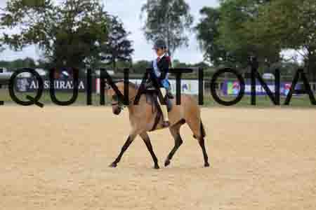 XOC-2060 XOC-2060