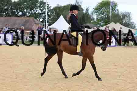 XOC-2281