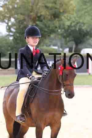 XOC-2419