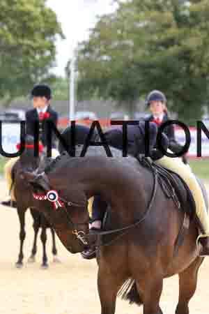 XOC-2448