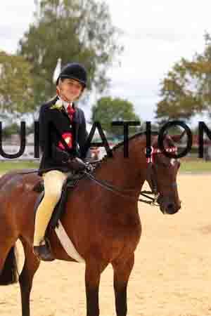 XOC-2496
