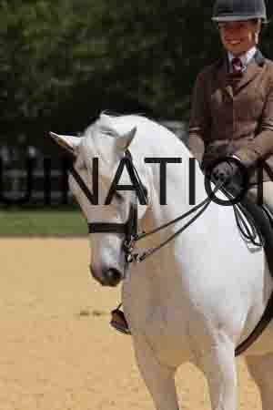 XOC-3004
