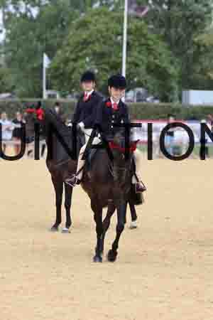 XOC-3634