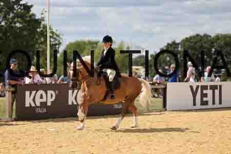 XOC-4368