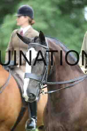 ENM-2048