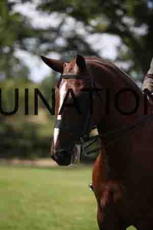 ENM-2695