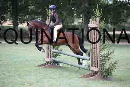 ENM-2931