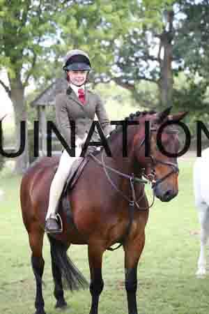 ENM-3447