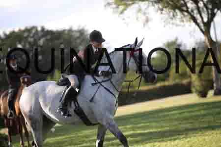 ENM-4604
