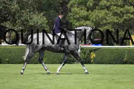 1_OSM-1033
