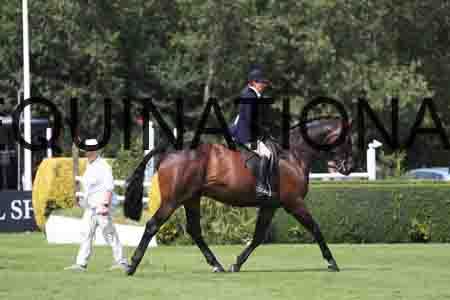 1_OSM-1052